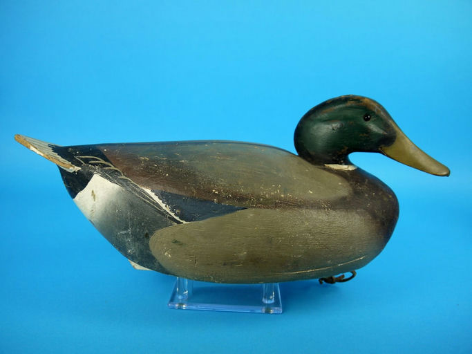 Ward Brothers – Mallard Drake – 2026