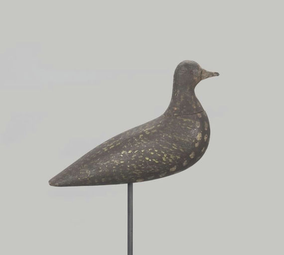 Coffin Family – Golden Plover – 2022