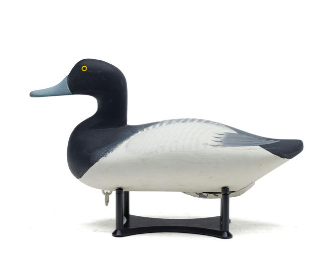 Bob McGaw – Scaup – 2026