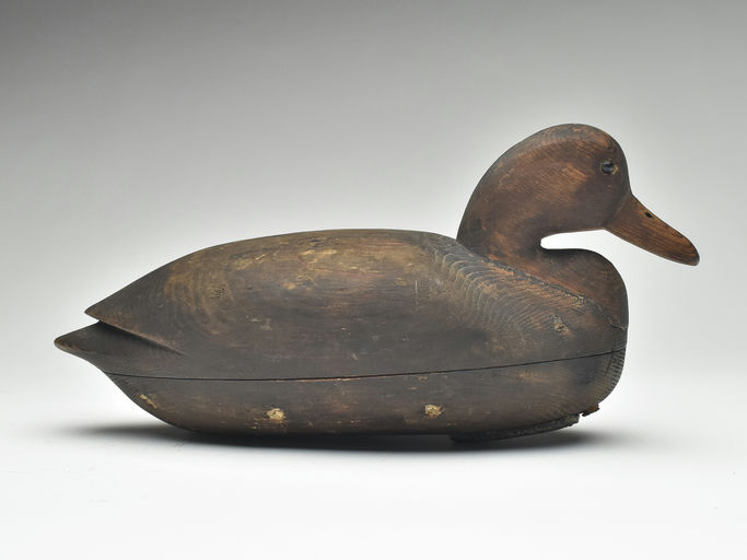 Nathan Cobb, Jr. – Black duck – 2023