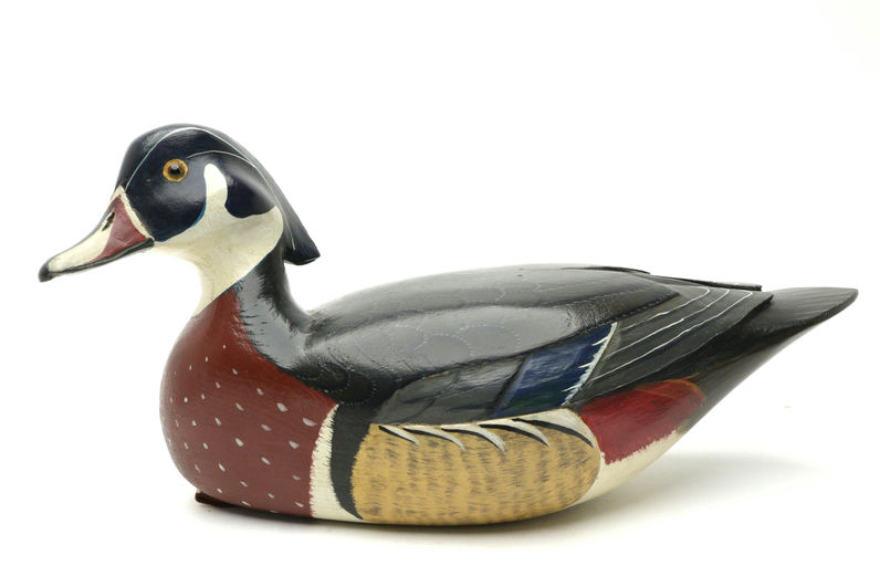 Harry V. Shourds – Wood Duck – 2025