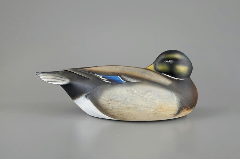 Sean Sutton – Oversize Sleeping Mallard – 2025
