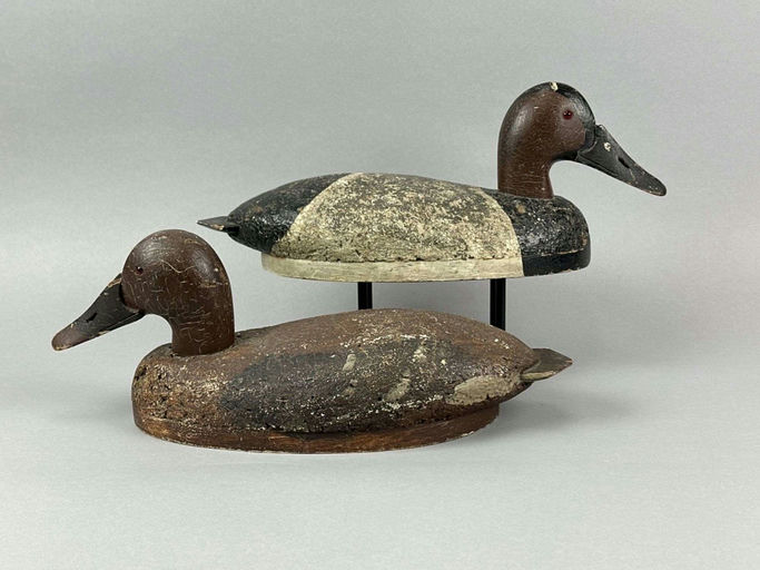 Joe Gigl – Canvasback Duck – 2026