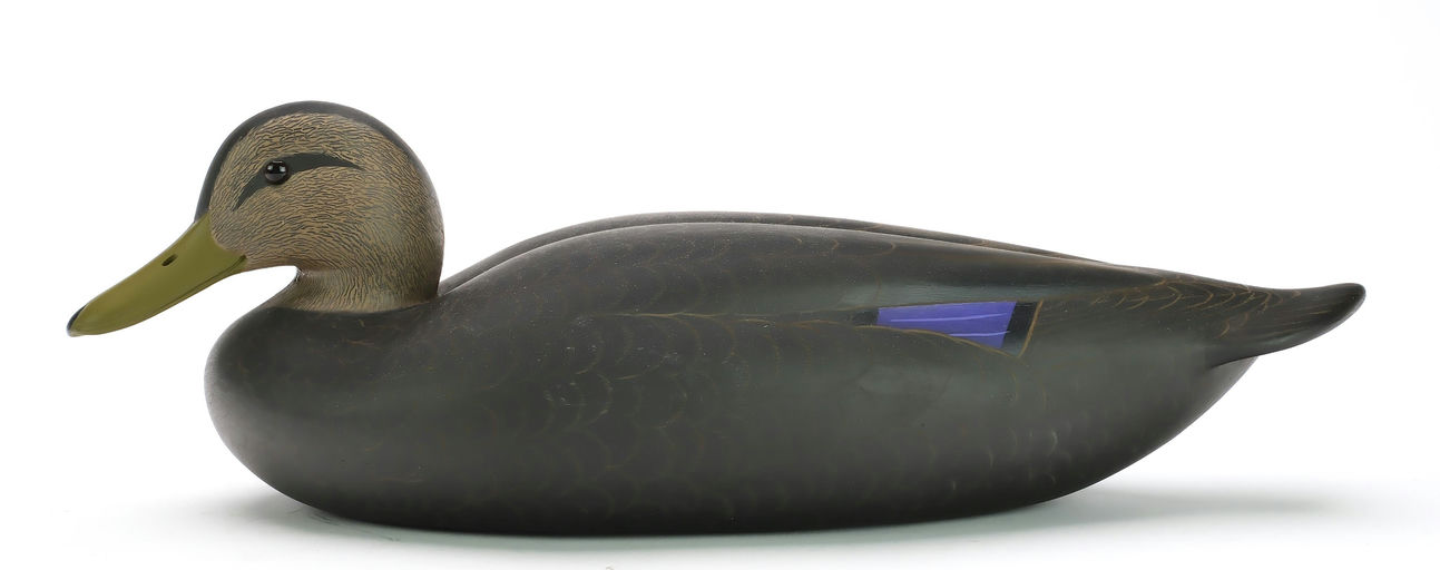 Keith Mueller – Black Duck – 2024