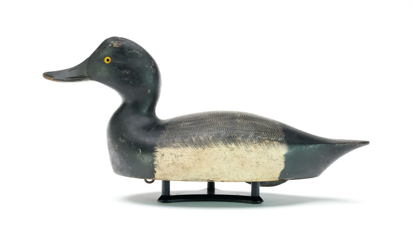 Chauncey Wheeler – Scaup – 2025