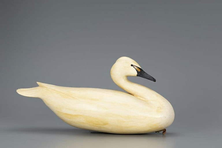 Bob White – Swan – 2019
