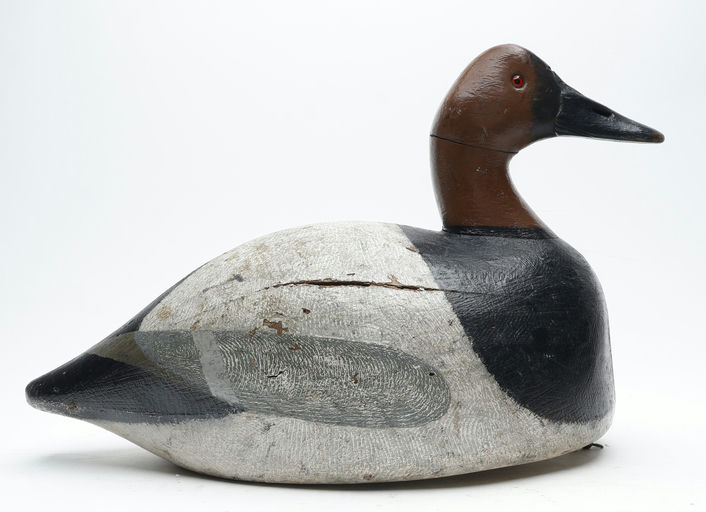 Frank Strey – Canvasback – 2026