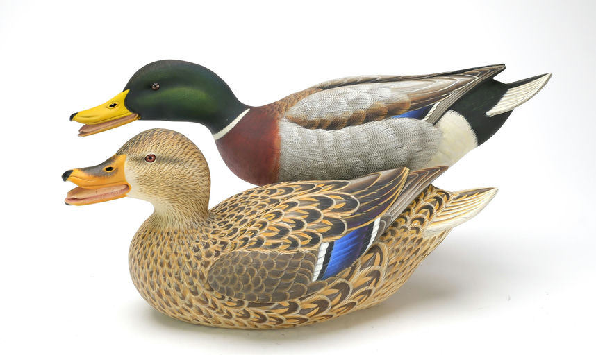 Ben A. Heinemann – Mallard – 2025