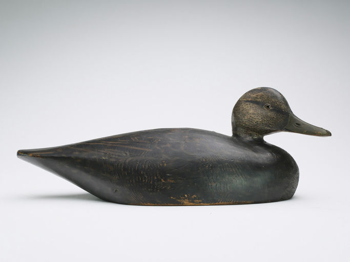 Elmer Crowell – Black Duck – 2024