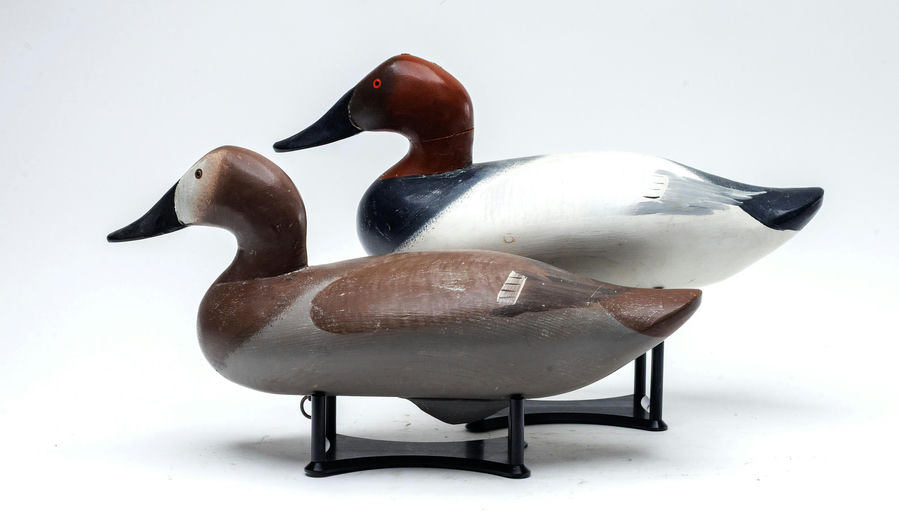 R. Madison Mitchell – Canvasback – 2026