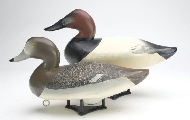 Charlie Joiner – Pair of Canvasbacks – 2023