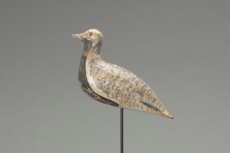 Joe King – Black-Bellied Plover – 2018