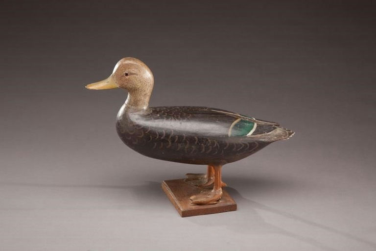 Lloyd Aaron Sterling – Standing Black Duck – 2011