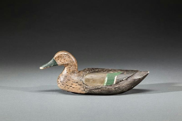 Denis Pereira – Green-winged Teal Hen – 2015