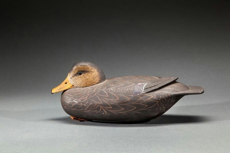 John Holloway – Black Duck – 2015