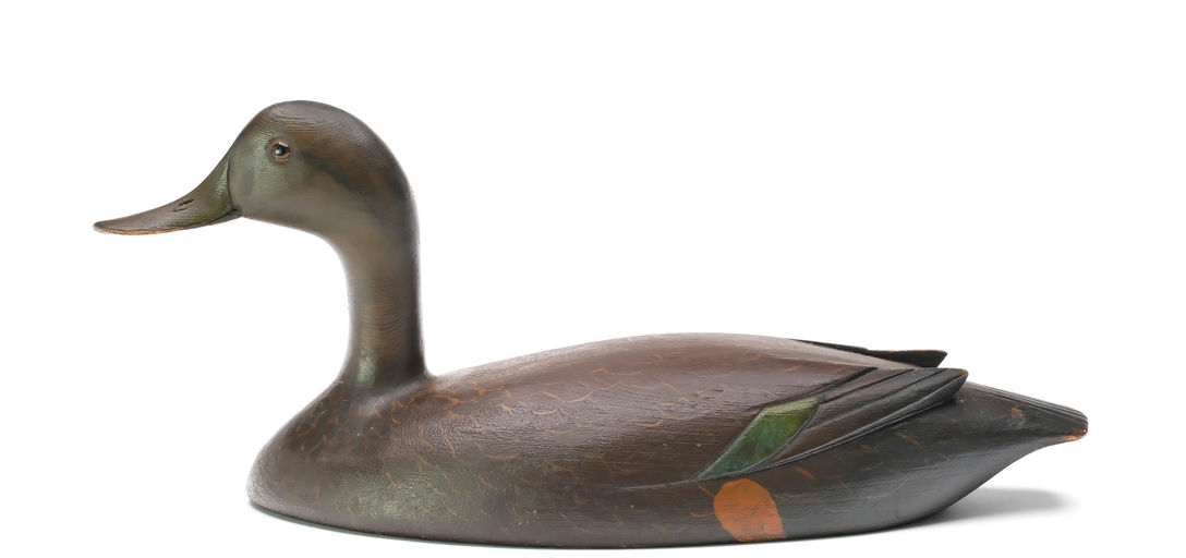 David W. Nichol – Black Duck – 2026