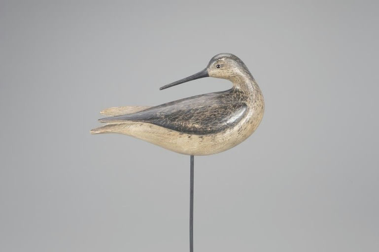 Mark McNair – Outstanding Preening Willet – 2024