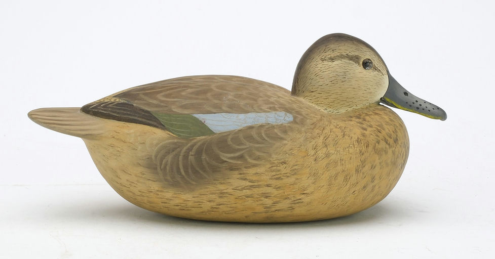 Bob White – Blue-winged Teal Hen – 2024