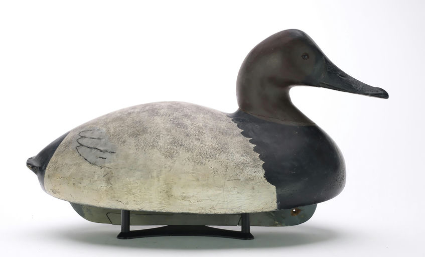 Ferdinand Bach – Canvasback – 2024