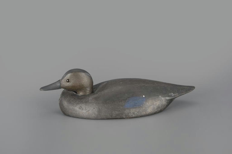 Billy Ellis – Black Duck – 2025