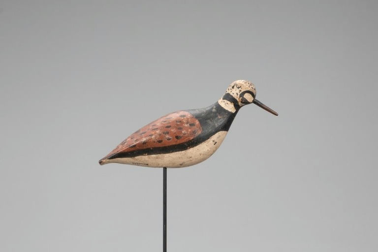 John Horn – Hillman-mccleery Ruddy Turnstone – 2021