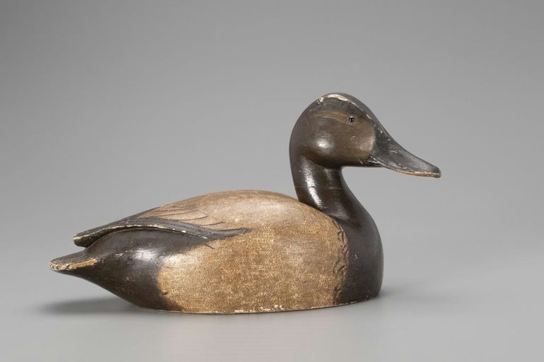 Ferdinand L. Homme – Canvasback Hen – 2019
