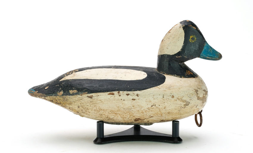 Doug Jester – Bufflehead – 2025