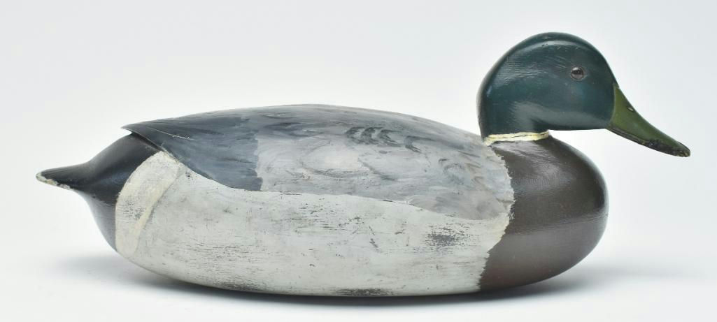 Joe King – Mallard – 2023