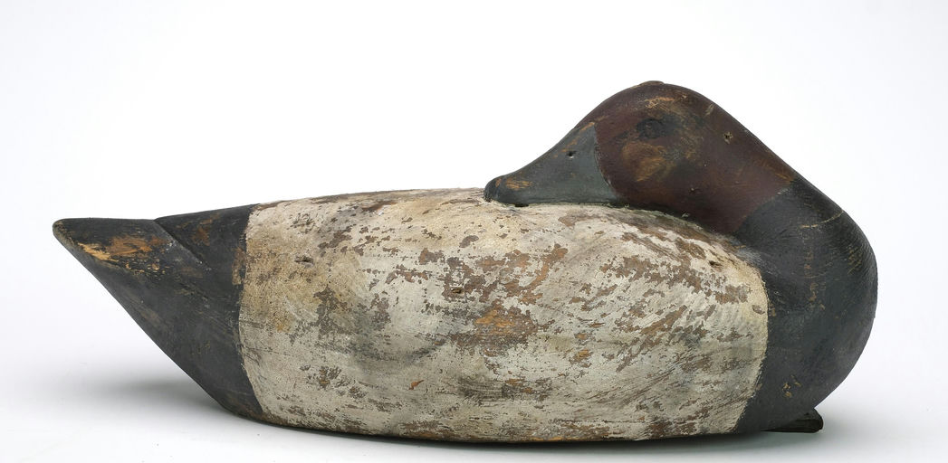 Reggie Birch – Canvasback – 2024