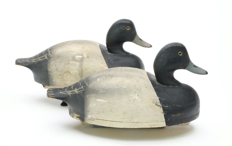 Wildfowler Decoy Company – Bluebill – 2025