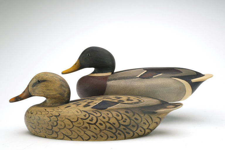 Ken Anger – Mallard – 2024