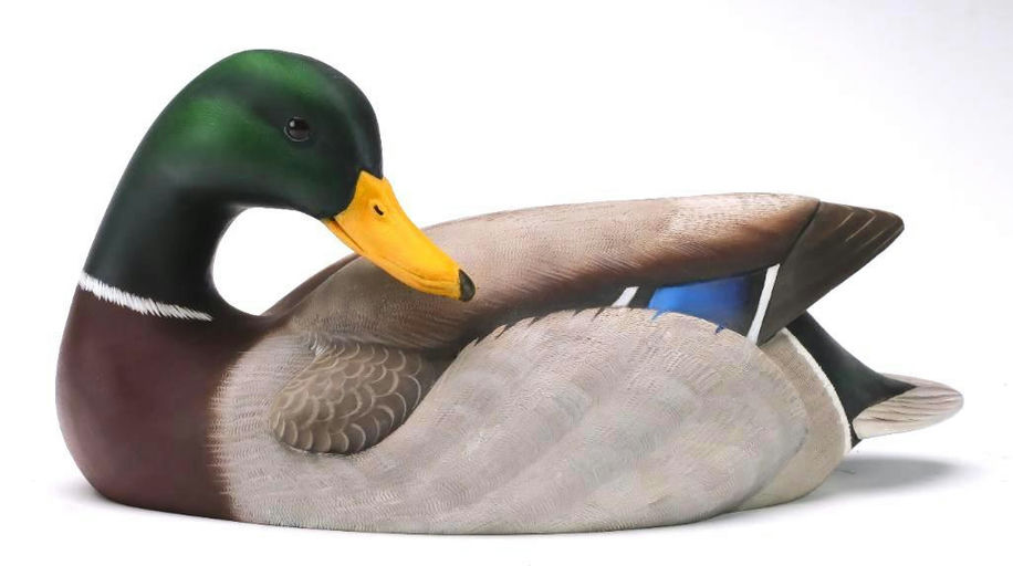 Tom Matus – Mallard – 2024