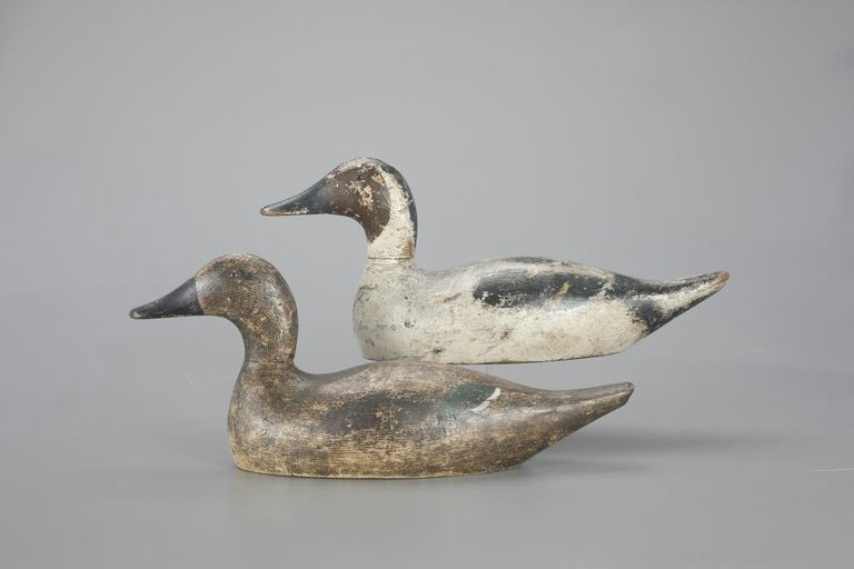 Evans Decoy Company – Standard-Grade Pintail Pair – 2023