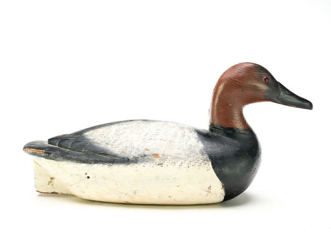 Richard Janson – Canvasback – 2025
