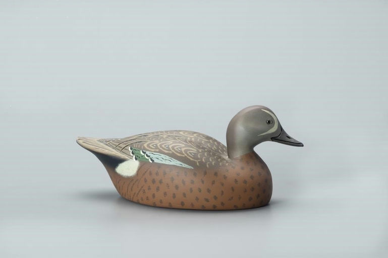 Walter J. Ruppel – Blue-winged Teal – 2022
