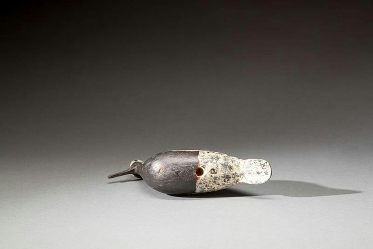 Charles S. Clark – Black Bellied Plover – 2016