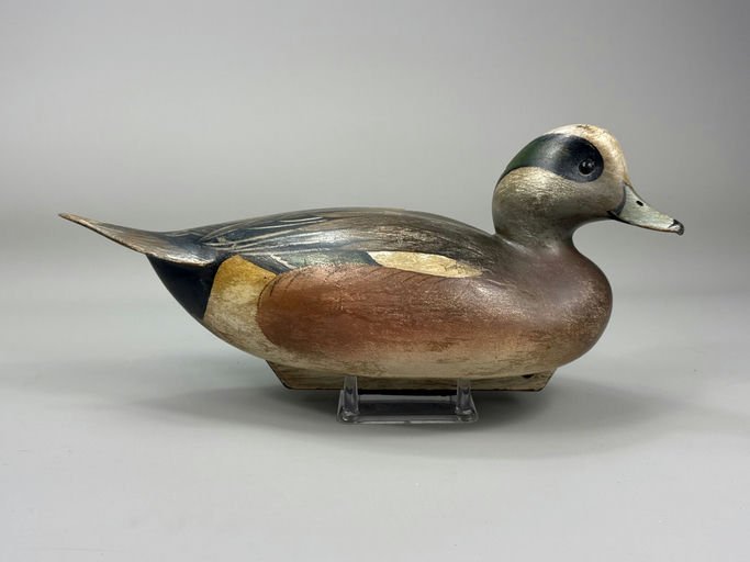 Oliver Lawson – Wigeon – 2026