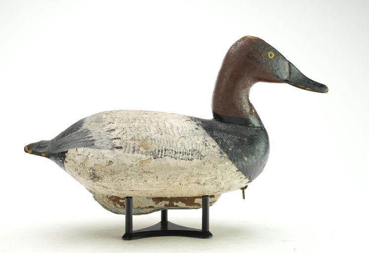 William Heverin – Canvasback – 2025
