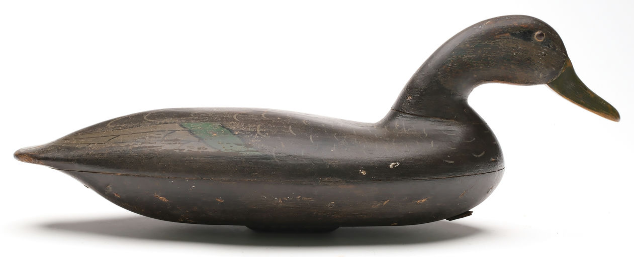 John Blair, Sr. – Black duck – 2026