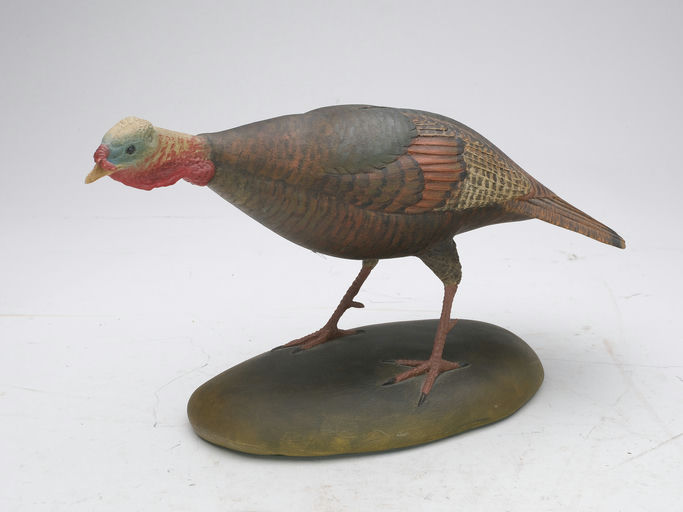 Frank Finney – Larger size miniature turkey in walking – 2024