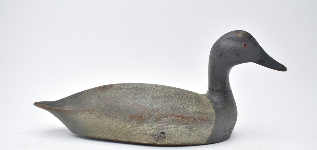 Chauncey Wheeler – Canvasback – 2025