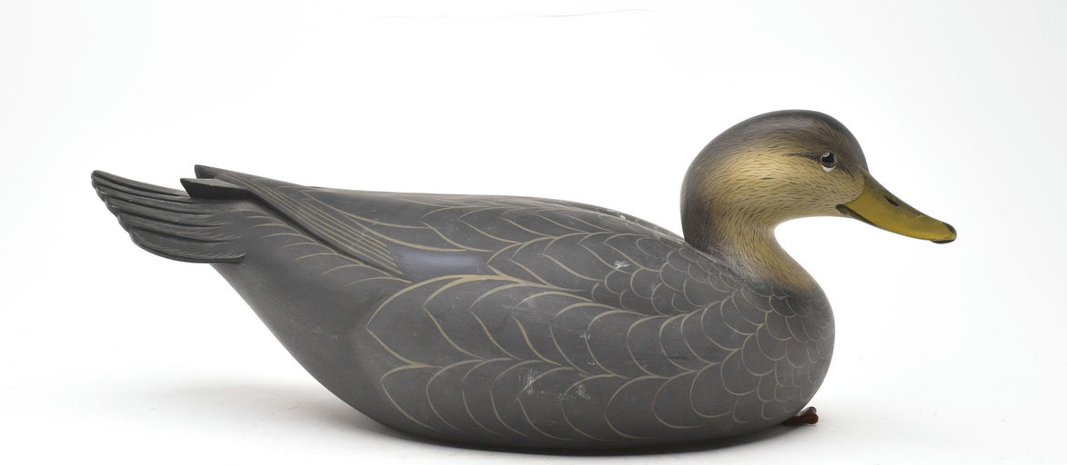 George Strunk – Black Duck – 2025