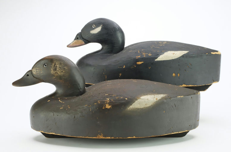 Wildfowler Decoy Company – Pair of Scoter – 2025
