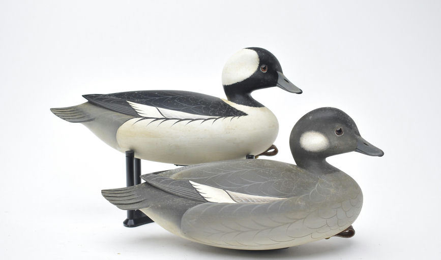 George Strunk – Pair of Bufflehead – 2025