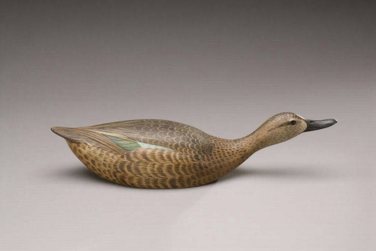 Al Glassford – Blue-Winged Teal Hen – 2010