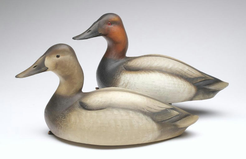 Sean Sutton – Pair of Canvasback – 2023