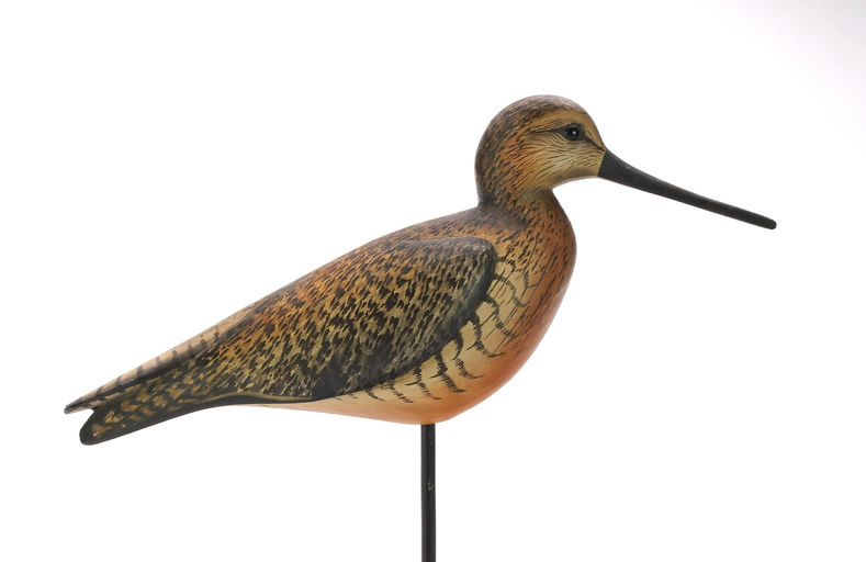 Bill Gibian – Dowitcher – 2024