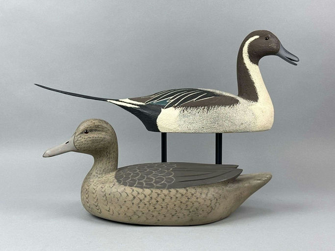 David Simandl – Pintail – 2026