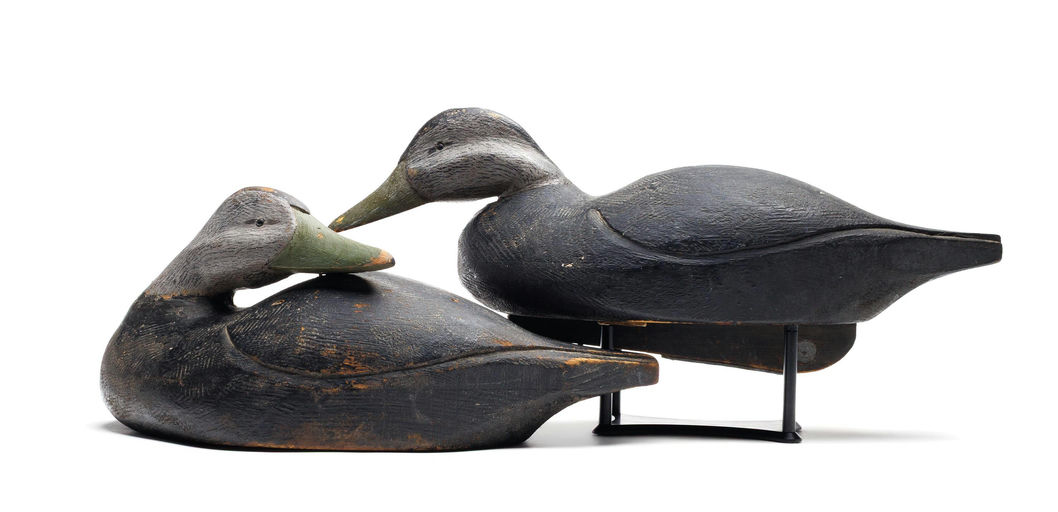 Will Sterling – Black Duck – 2026