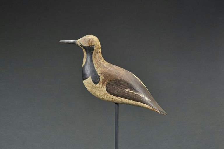 John McAnney – Ruddy Turnstone – 2017